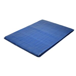Bâche plastique 6x10m PEHD Bleue 80g/m² Ourlet périphérique oeillets tous les 1m TECPLAST
