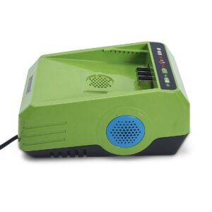 Chargeur de Batterie Lithium 60V Charge Rapide Voyant LED Poids Léger WARRIOR ECO POWER EQUIPMENT
