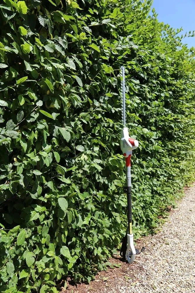 Taille-Haies 600W Mat Télescopique Lame 59cm Manche réglable de 1.95 à 2.40m Hauteur de travail 4 mètres IKRA – Image 14